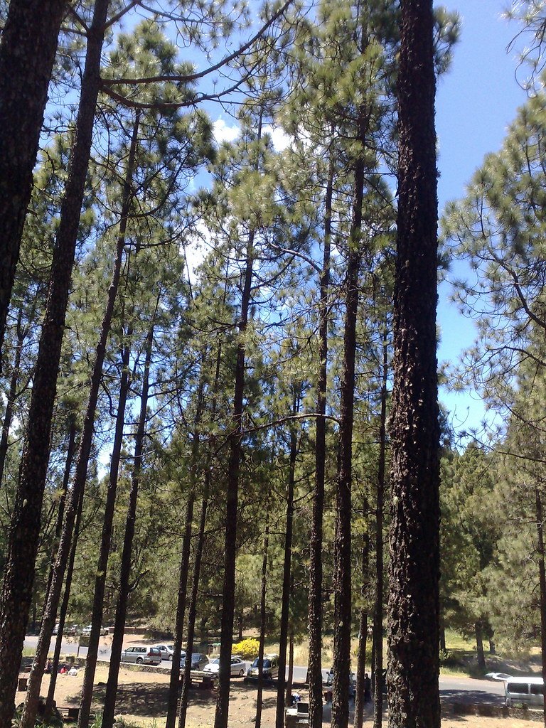 Gran Canaria - Llanos de la Pez